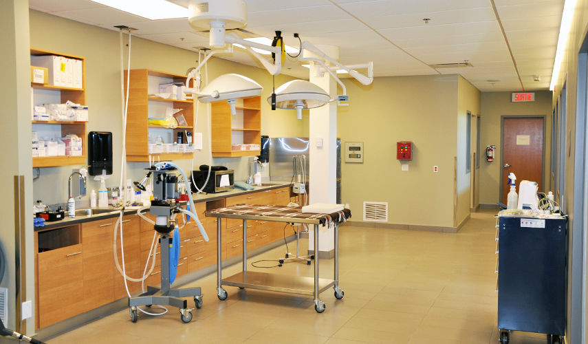 Bloc opératoire Centre Vétérinaire Laval