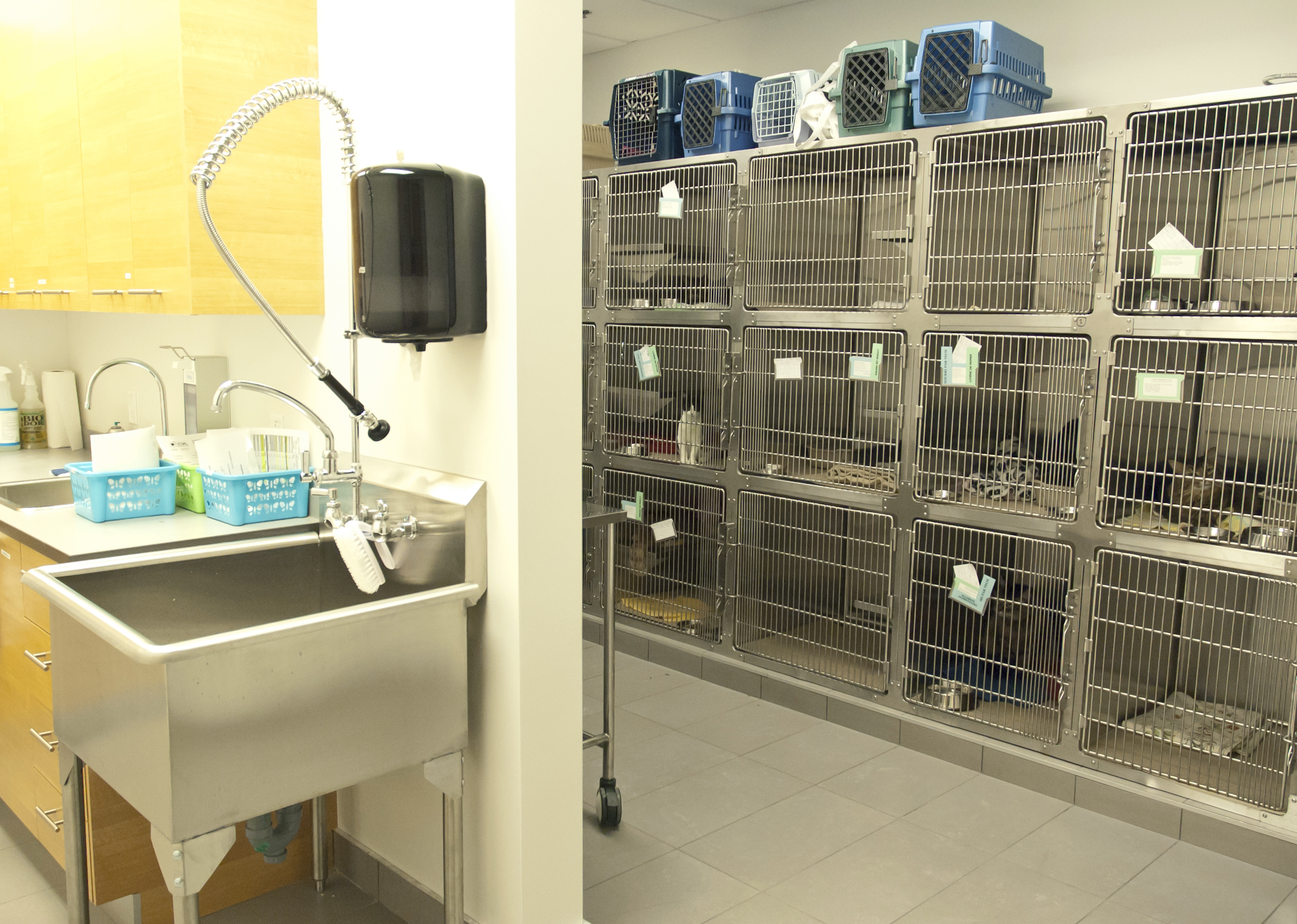 Chatterie.jpg Centre Vétérinaire Laval